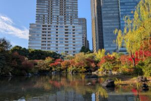 檜町公園のバリケン！