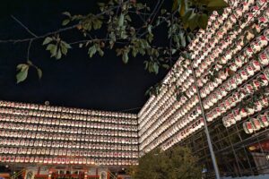 花園神社大酉際